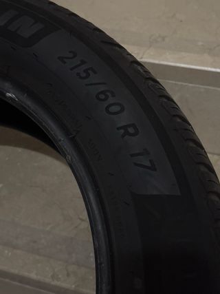 1 Neumatico Michelin Cros Climate ( como