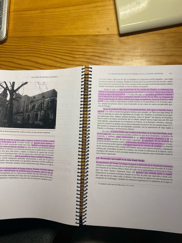 libro lecciones de historia economica