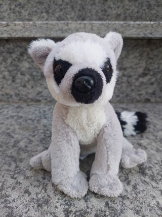Peluche morbido koala con sonoro