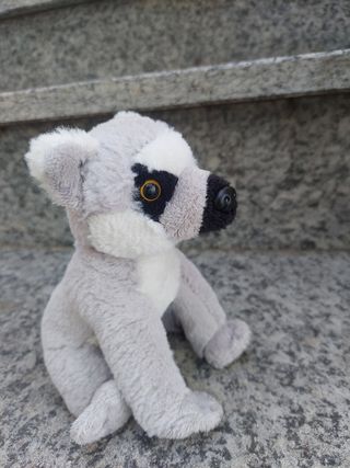 Peluche morbido koala con sonoro