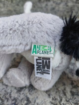 Peluche morbido koala con sonoro