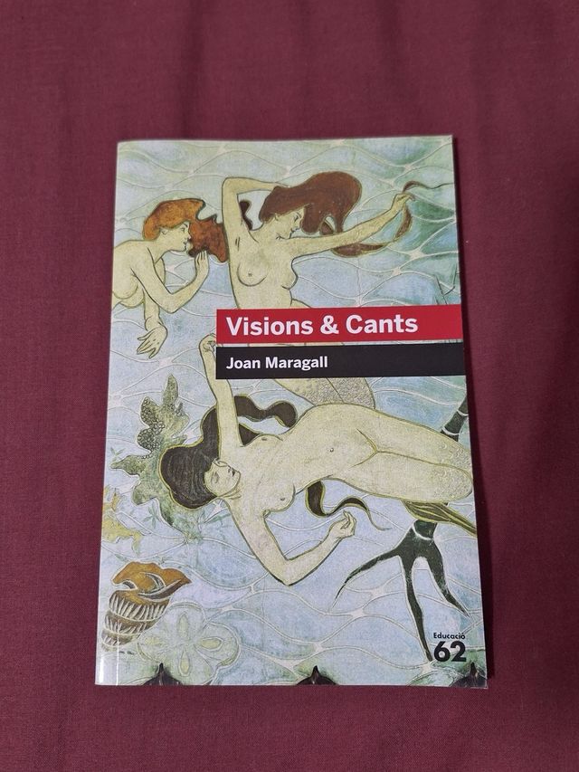 Libro Visions & Cants