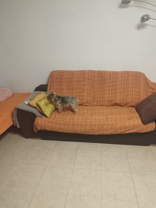 Sofá cama
