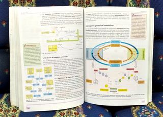 2 Libros Biología y Geología