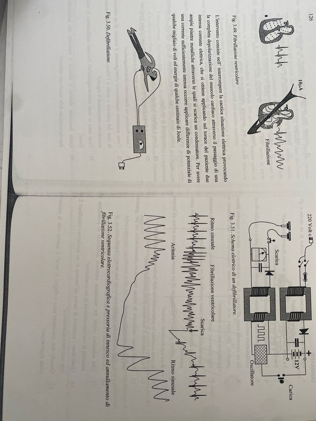 ELEMENTI DI FISICA Per le lauree