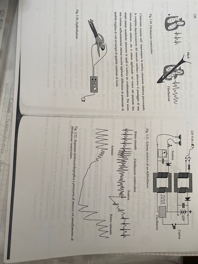 ELEMENTI DI FISICA Per le lauree