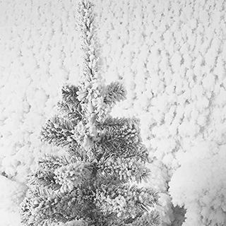 Árbol Económico de Navidad Nieve 210CMNuevo Barato
