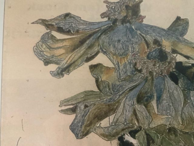 Horst Janssen cuadro