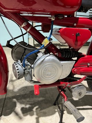 Guzzi cardelino 73cc