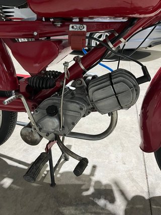 Guzzi cardelino 73cc