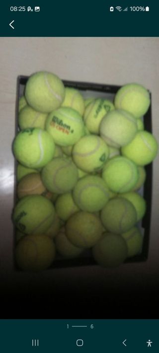 50 Bolas de tenis 