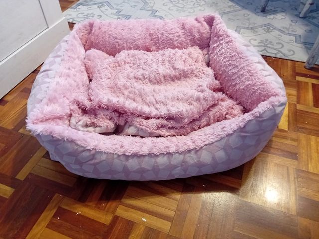 Camita perrito o gatito