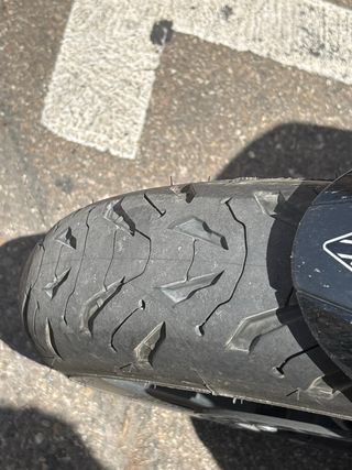 Triumph Tiger Sport 660 Limitada A2