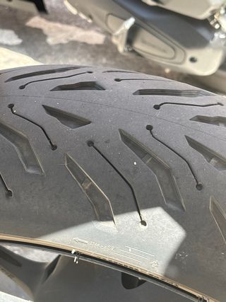 Triumph Tiger Sport 660 Limitada A2