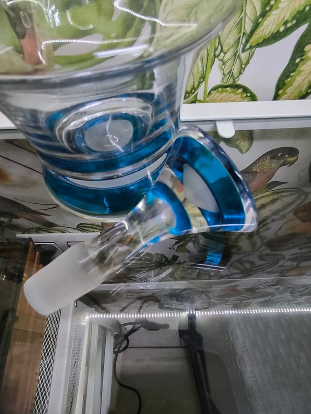 Licorera botella cristal