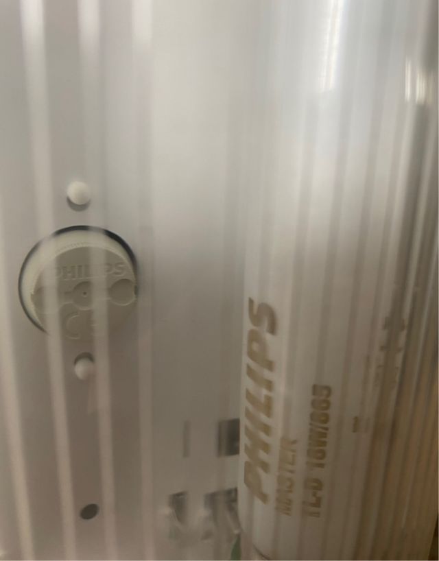 Neon lampadario , luce, led, faro