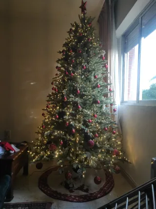 Árbol de Navidad. Costco