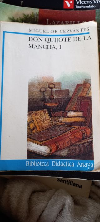 Don quijote de la Mancha