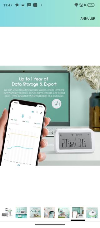 Inkbird termómetro piscinas