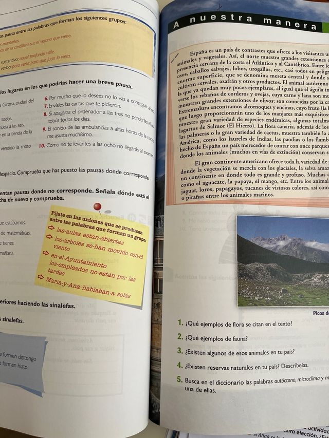 Sueña 3. Libro del Alumno (Spanish Edition)