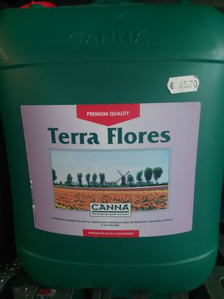Terra flores