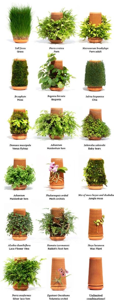 Tevaplanter. Maceta vertical