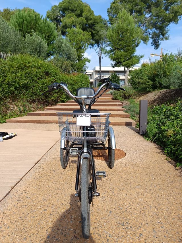 Triciclo Eléctrico CicloTEK