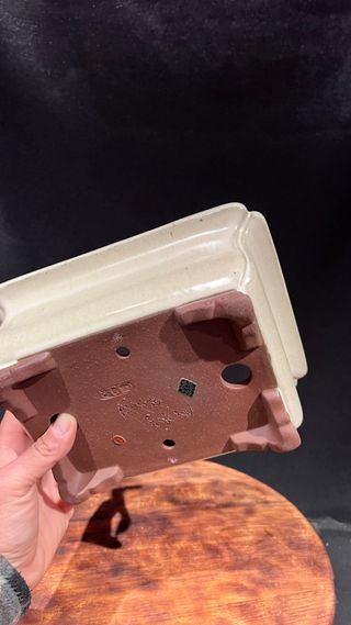 MACETA BONSAI RECTANGULAR TOKONAME YAMAAKI TOSHIO