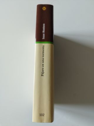 Pájaro en una tormenta. Isaac Montero