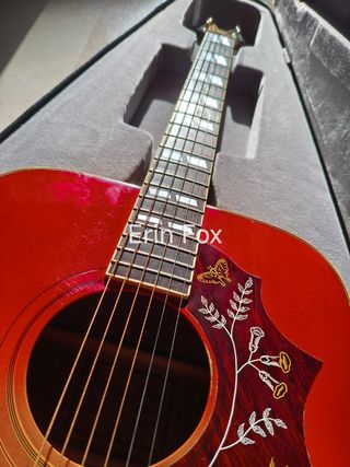 Ibanez Concord 684 Hummingbird 1977 MIJ