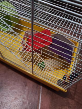 Jaula Hamster grande 