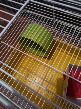Jaula Hamster grande 