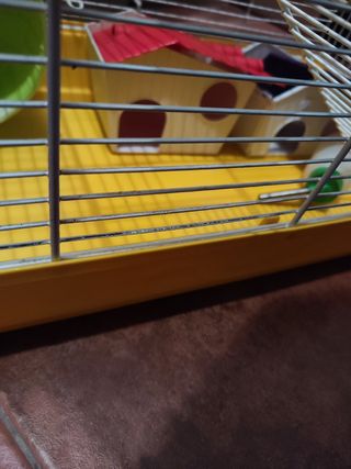 Jaula Hamster grande 