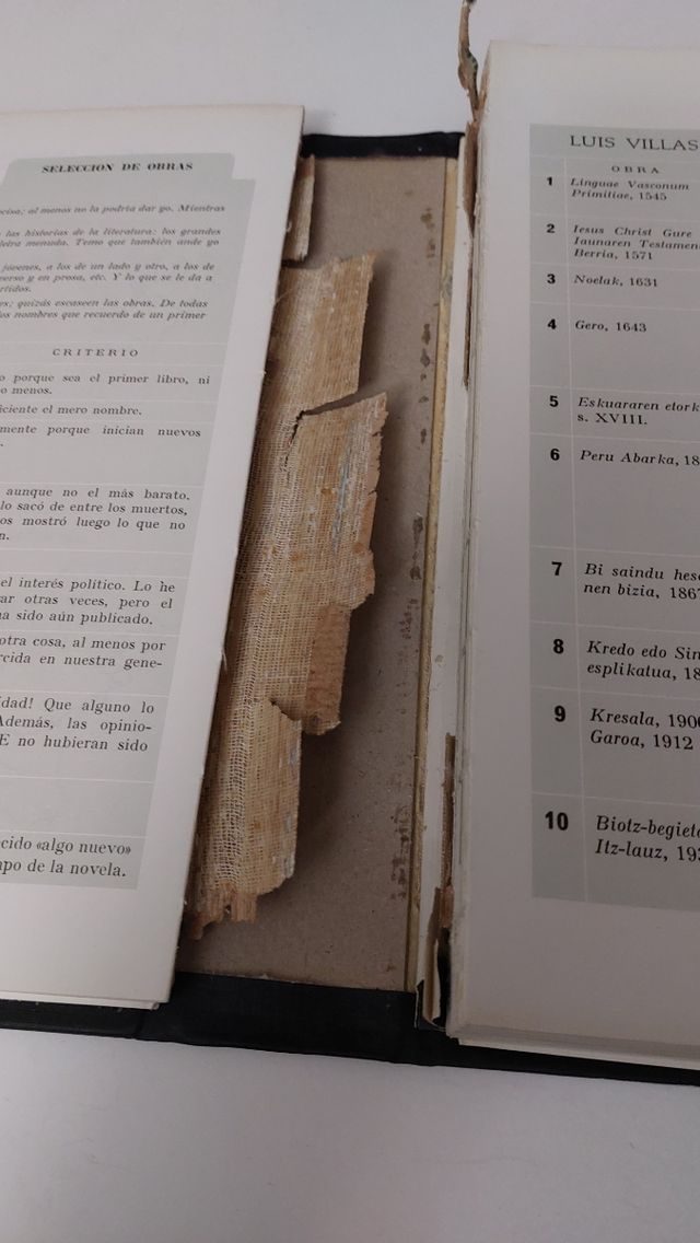 Libro Euskal idazleak gaur