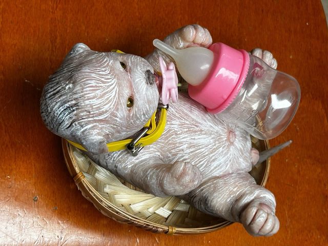 Reborn silicona perro 18 cm