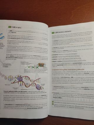 Cultura Científica 1° Bachillerato. Ed. Bruño