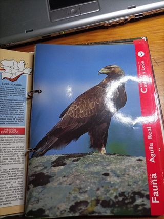 Guia de la naturaleza.