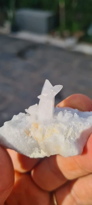 Minerali Collezione Cristallo Calcite su Marmo