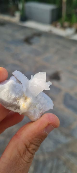 Minerali Collezione Cristallo Calcite su Marmo