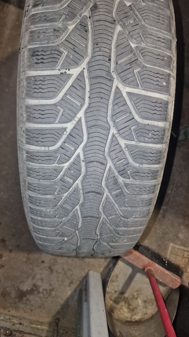 Cerchi in lega 16" + gomme 205/55/16