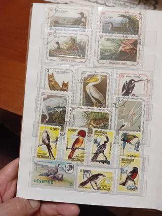 N. 200 Francobolli Animali