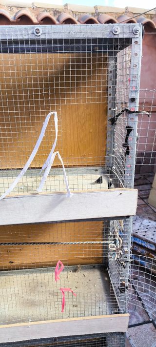Jaula para conejo y pájaros