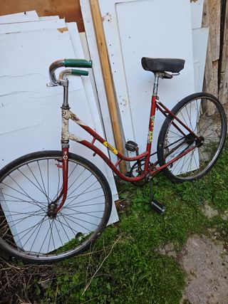 Orbea clasica