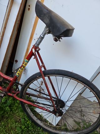 Orbea clasica