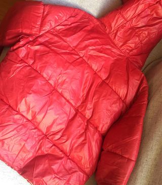 plumas Puffer