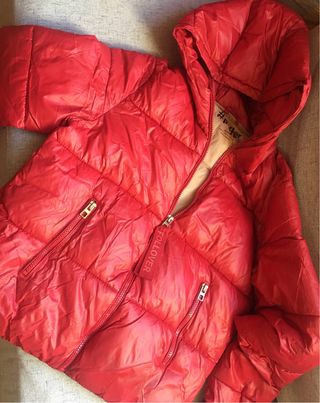 plumas Puffer