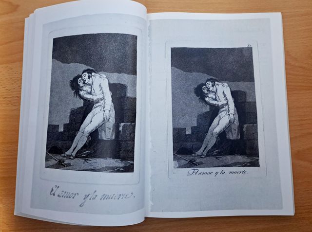 Libro "Goya. Los Caprichos. Dibujos y aguafuertes"