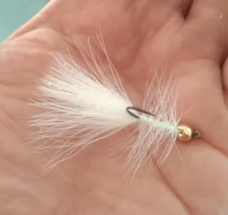 Streamer Woolly Bugger