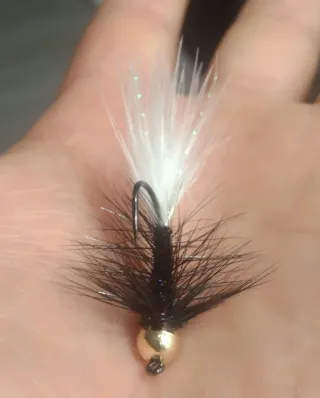 Streamer Woolly Bugger