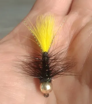 Streamer Woolly Bugger
